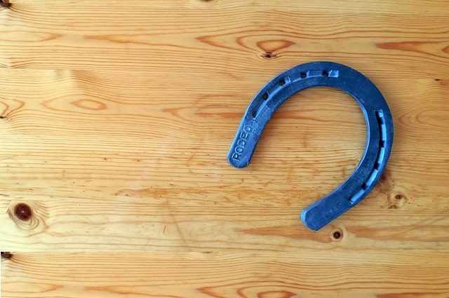 Horseshoe throwing games