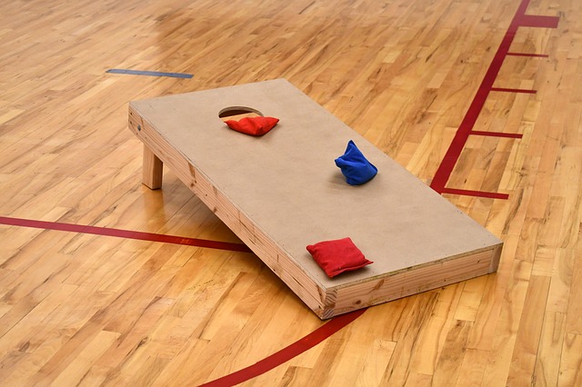 Bean bag toss game