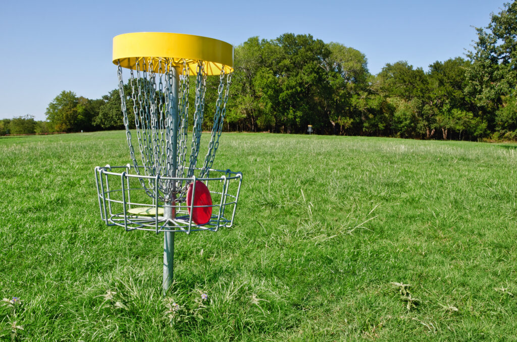 disc golf in goal