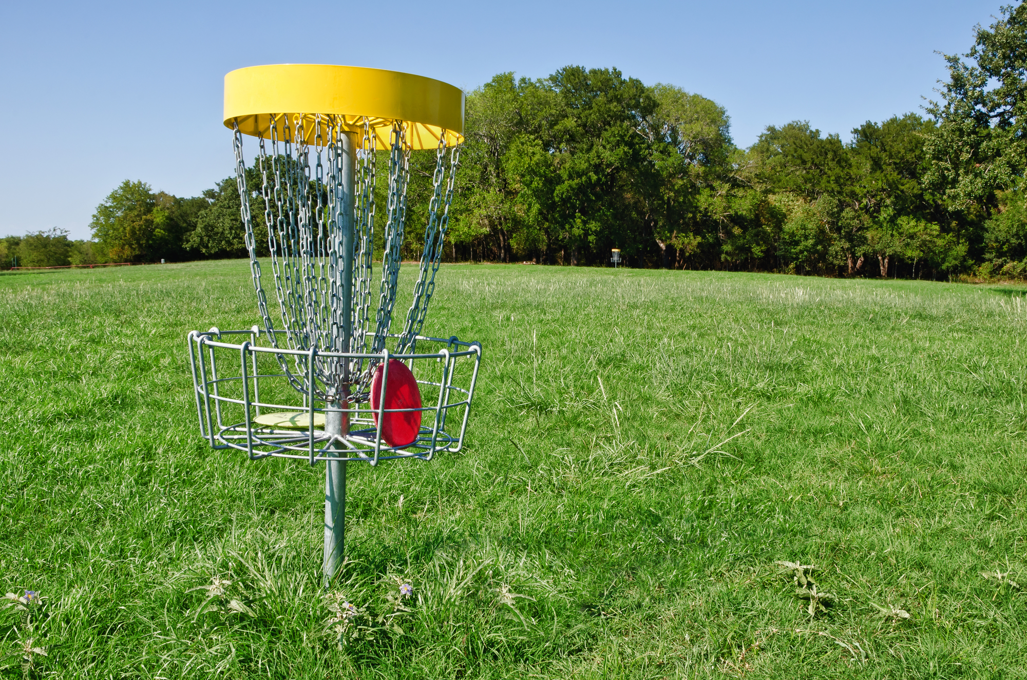 Frisbee golf. Frisbee golf. Frisbee golf. Диск гольф игра. Фрисби для диск-гольф.